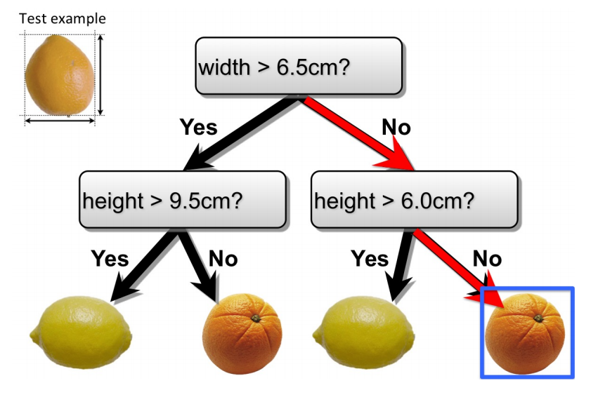 example decision tree