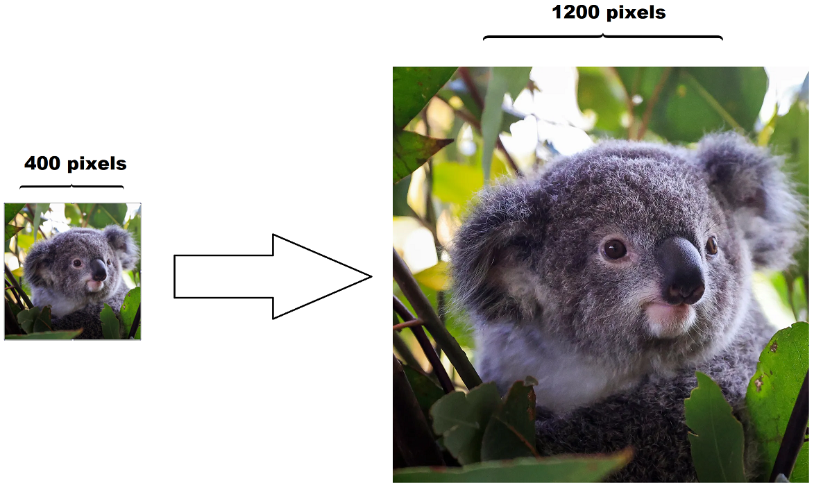 Image scaling example